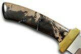 Knife with Petrified Wood Inlays - Handcrafted In Utah #370835-3